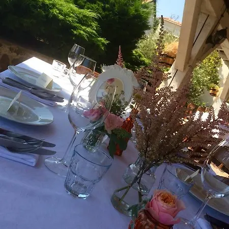 V Polich Malé Číčovice