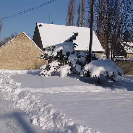 ゲストハウス V Polich