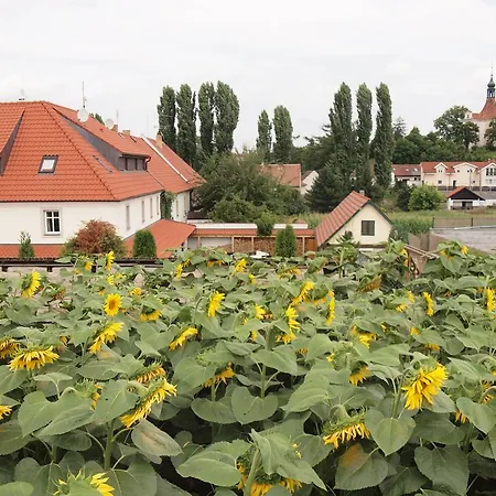 V Polich ゲストハウス