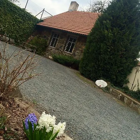 بيت ضيافة V Polich