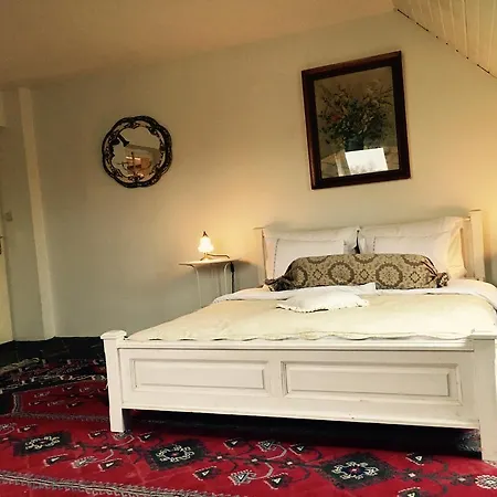 V Polich بيت ضيافة