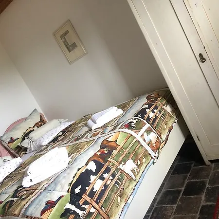 V Polich Malé Číčovice