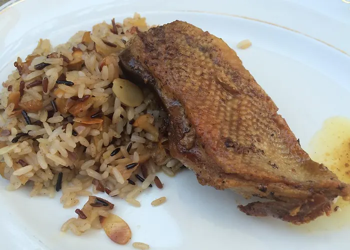 Guest house V Polich